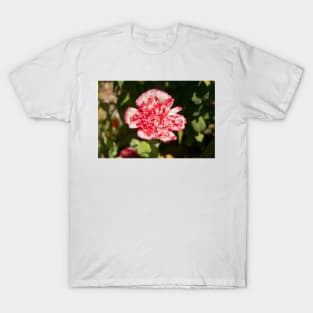 blb carnation rose T-Shirt